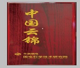 中国国电—国电科学技术研究院定制云锦领带